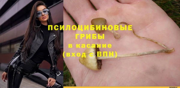 спайс Алексин