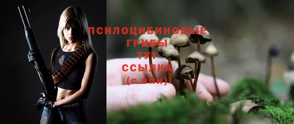 спайс Алексин