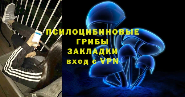 спайс Алексин