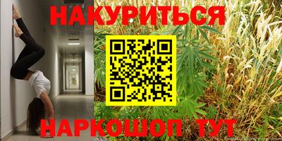 прущие крисы Северобайкальск