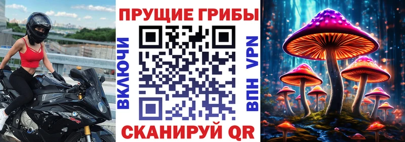 Галлюциногенные грибы мицелий  Павловский Посад 