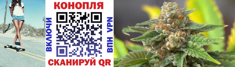 купить наркоту  Павловский Посад  Марихуана SATIVA & INDICA 
